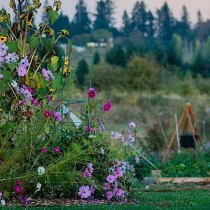 Meet your Posher, Naynay